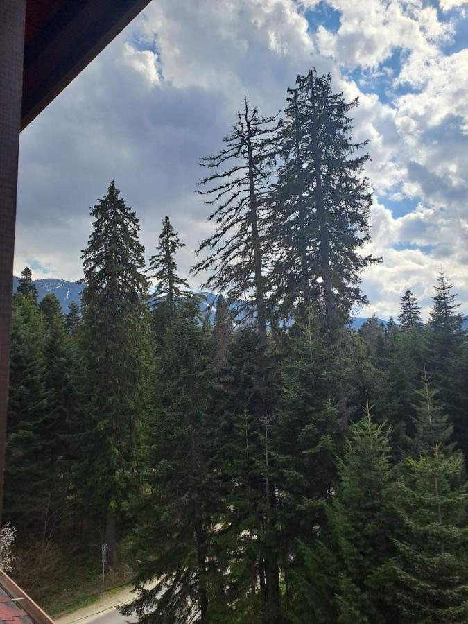 Premium Apartment In Borovets Gardens Complex Bagian luar foto